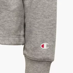 Champion Hoodie -Adidas Geschäft 2018524 H4