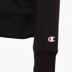 Champion Hoodie -Adidas Geschäft 2085643 H4