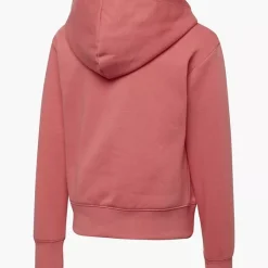 Champion Hoodie -Adidas Geschäft 2085648 H2