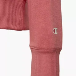 Champion Hoodie -Adidas Geschäft 2085648 H4