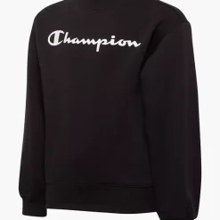 Champion Pullover