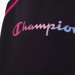 Champion Hoodie -Adidas Geschäft 2085797 H3