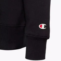 Champion Hoodie -Adidas Geschäft 2085797 H4