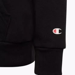 Champion Hoodie -Adidas Geschäft 2085816 H4