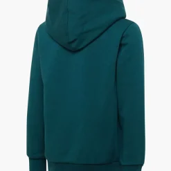 Champion Hoodie -Adidas Geschäft 2085819 H2