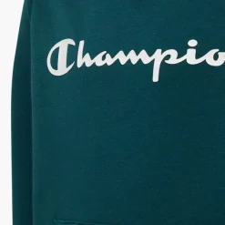 Champion Hoodie -Adidas Geschäft 2085819 H3