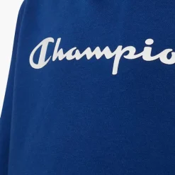 Champion Hoodie -Adidas Geschäft 2085822 H3