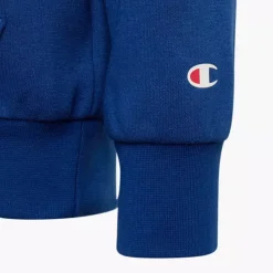 Champion Hoodie -Adidas Geschäft 2085822 H4