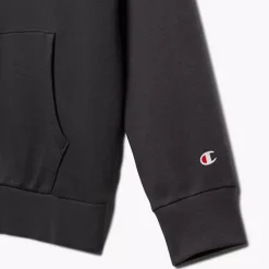 Champion Hoodie -Adidas Geschäft 2085939 H3