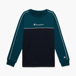 Champion Sweatshirt