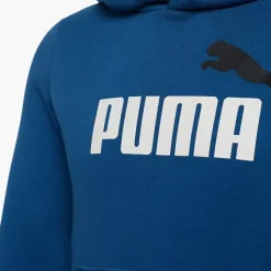 Puma Hoodie -Adidas Geschäft 2088022 H4