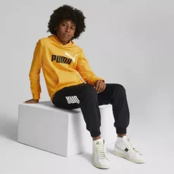 Puma Hoodie -Adidas Geschäft 2088025 H6