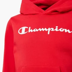 Champion Hoodie -Adidas Geschäft 2180421 H4