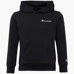 Champion Sweatshirt