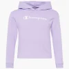 Champion Hoodie 1 Champion Hoodie -Adidas Geschäft 2180537 H1