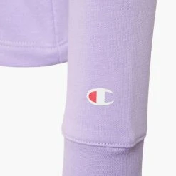 Champion Hoodie -Adidas Geschäft 2180537 H4