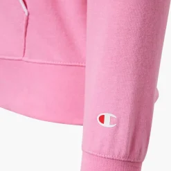 Champion Hoodie -Adidas Geschäft 2180546 H4