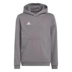Adidas Entrada 22 Sweat Hoodie