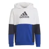 Adidas Colourblock Hoodie